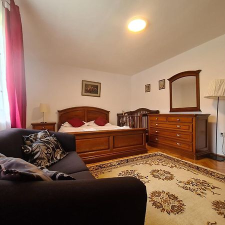 Lelia Residence Apartments Brassó Kültér fotó